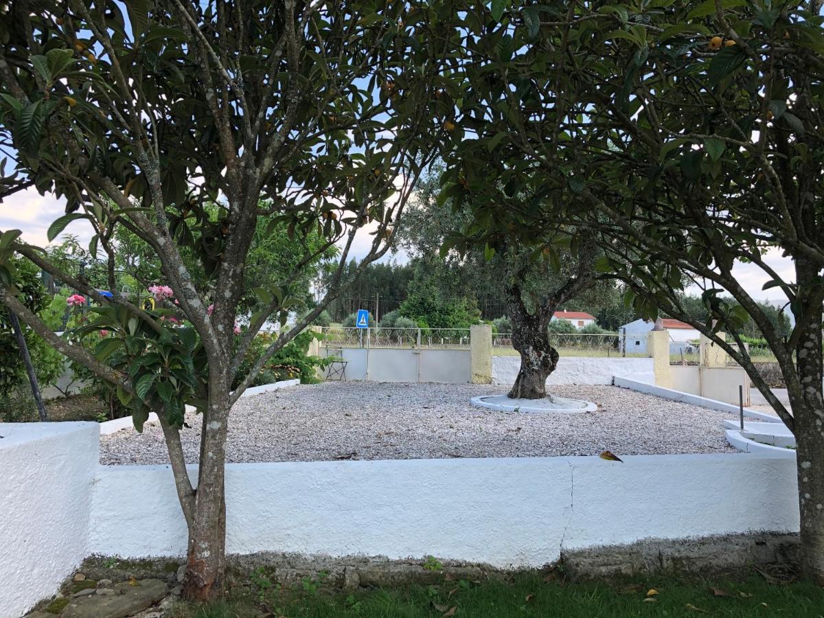 A Casa Amarela Διαμέρισμα Pinheiro de Coja Εξωτερικό φωτογραφία