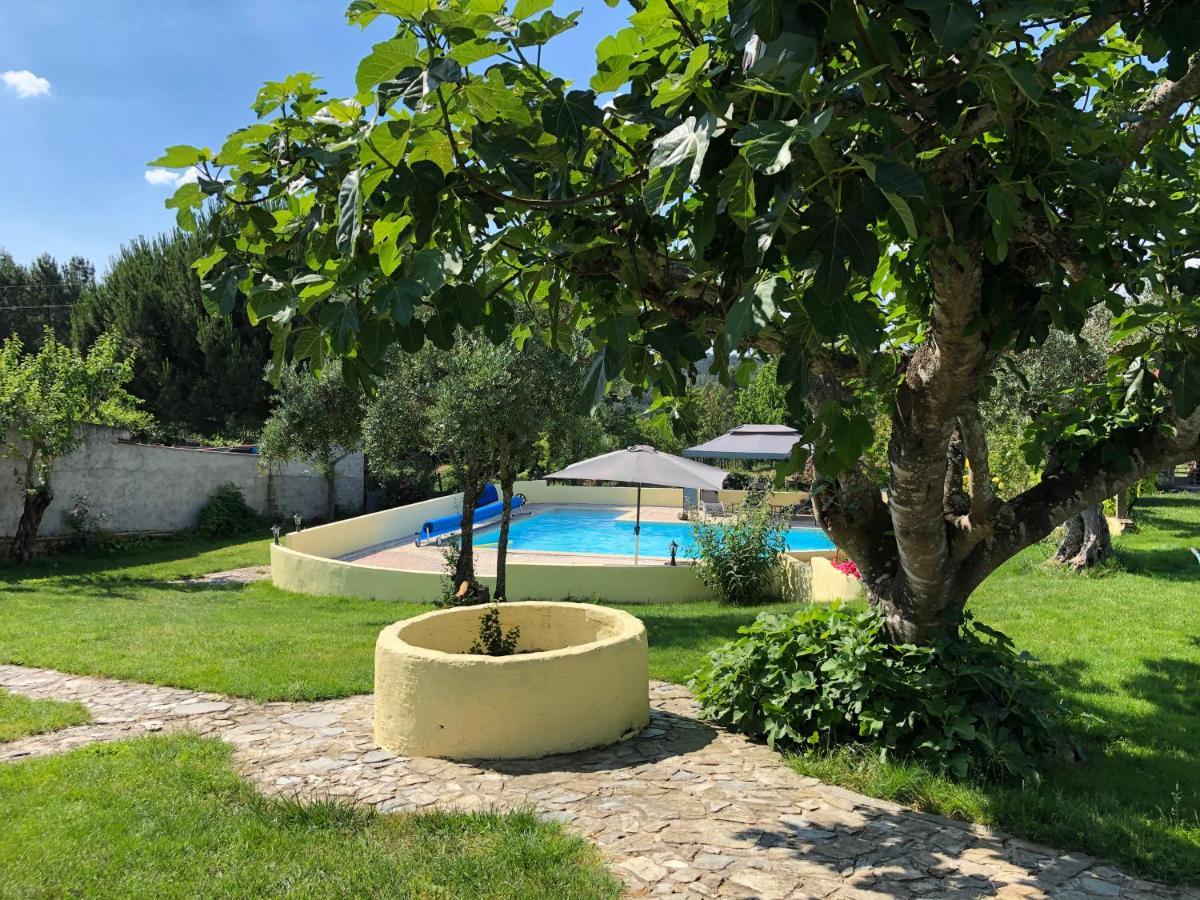 A Casa Amarela Διαμέρισμα Pinheiro de Coja Εξωτερικό φωτογραφία