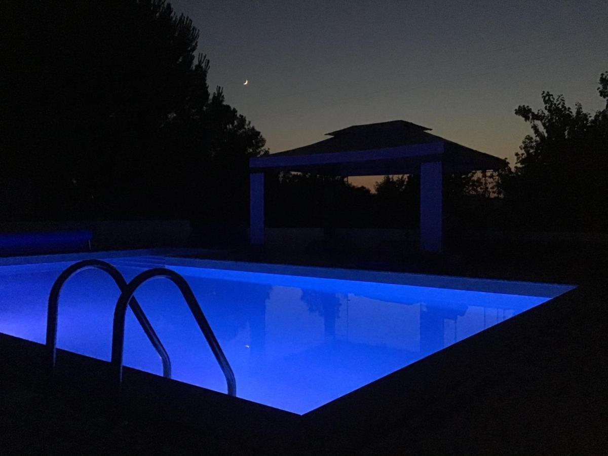 A Casa Amarela Διαμέρισμα Pinheiro de Coja Εξωτερικό φωτογραφία