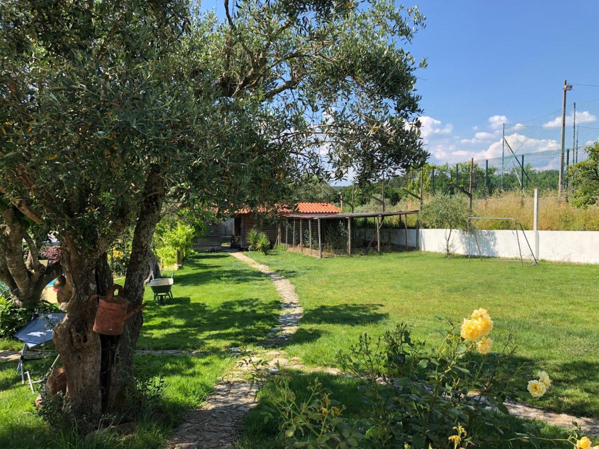A Casa Amarela Διαμέρισμα Pinheiro de Coja Εξωτερικό φωτογραφία